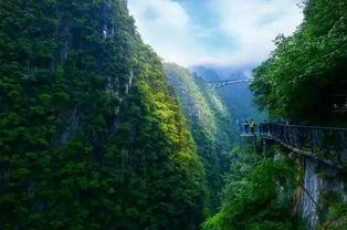 黔江最新爆料电话,揭秘背后惊人内幕  第2张